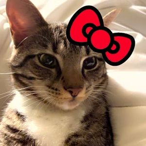 Meet your Posher, Katrina